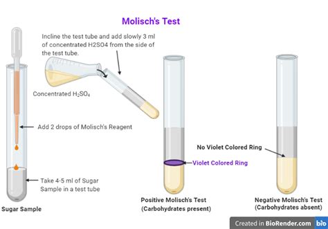 molish test